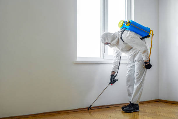 Best Affordable Pest Control Services  in Granby, CO