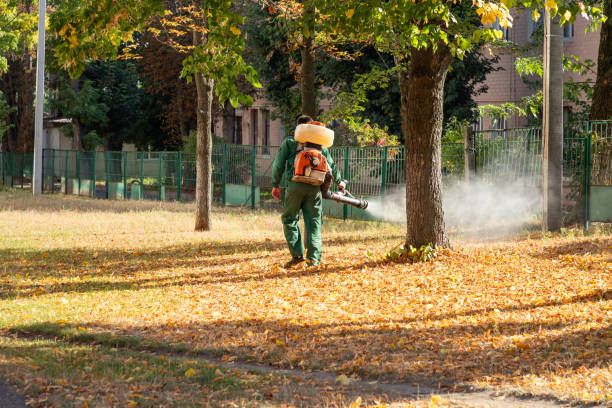 Best Flea Control Services  in Granby, CO