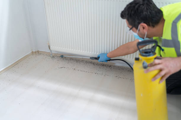 Best Wasp Removal Services  in Granby, CO