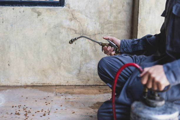 Best Local Pest Control Services  in Granby, CO
